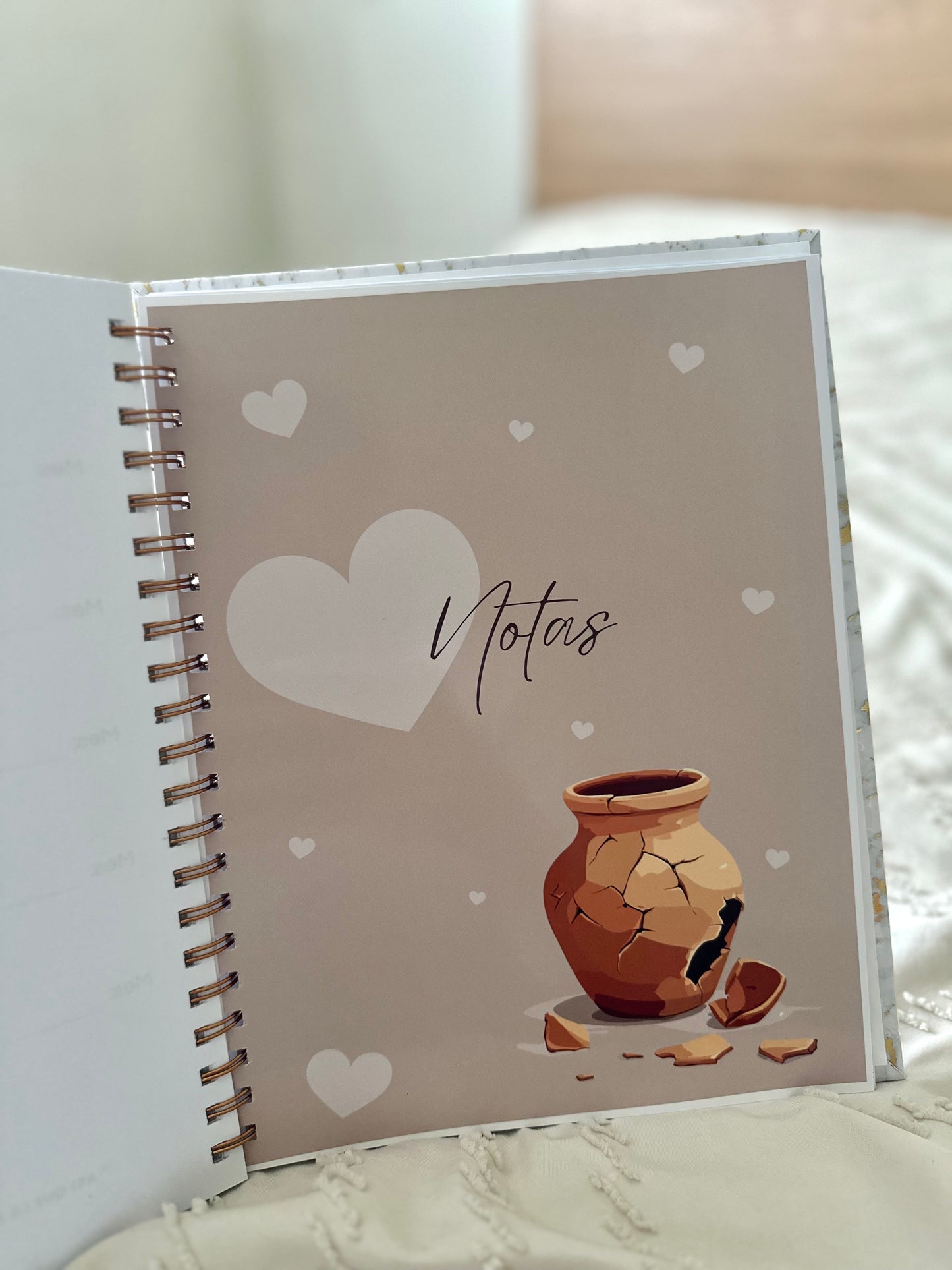 Libreta Vasijas en formación