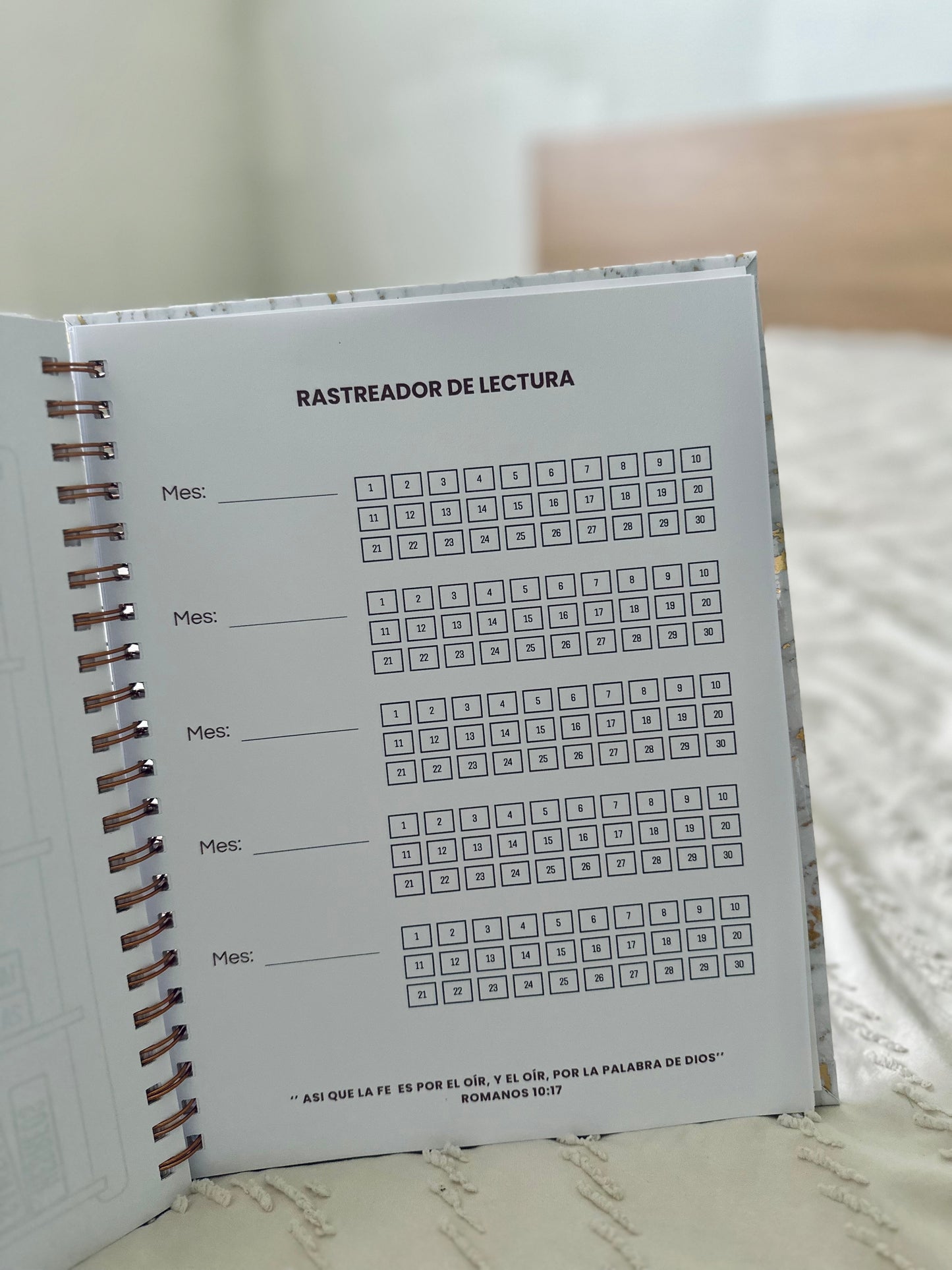 Libreta Vasijas en formación