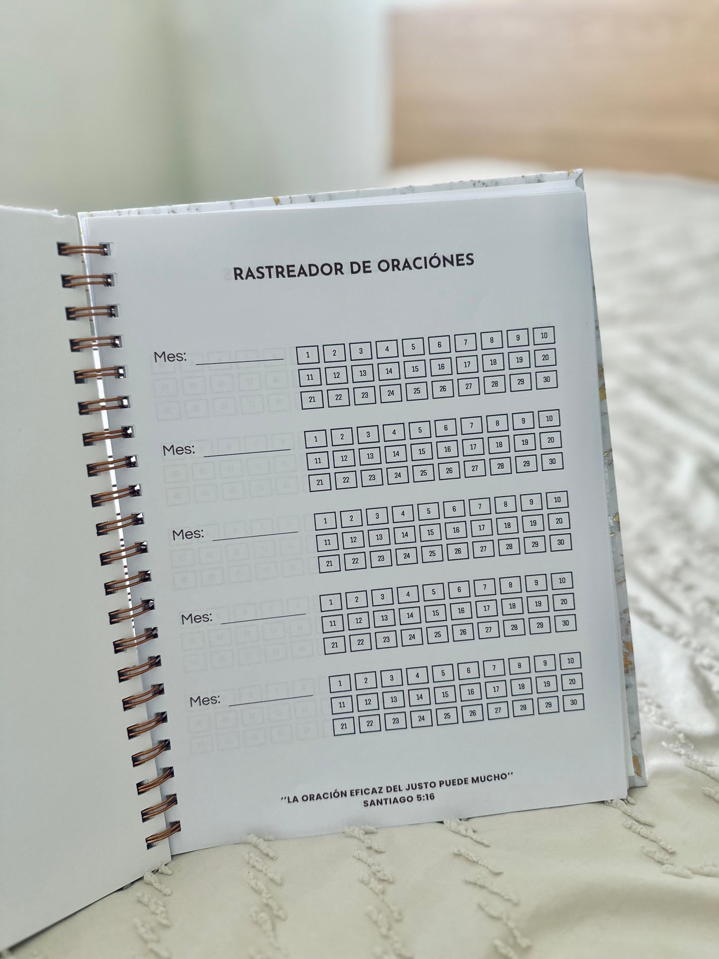 Libreta Vasijas en formación