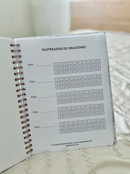 Libreta Vasijas en formación
